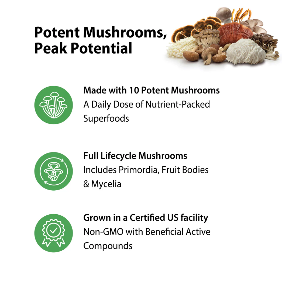 10 Mushroom Power Complex, 60 Vegan Capsules - Image 4