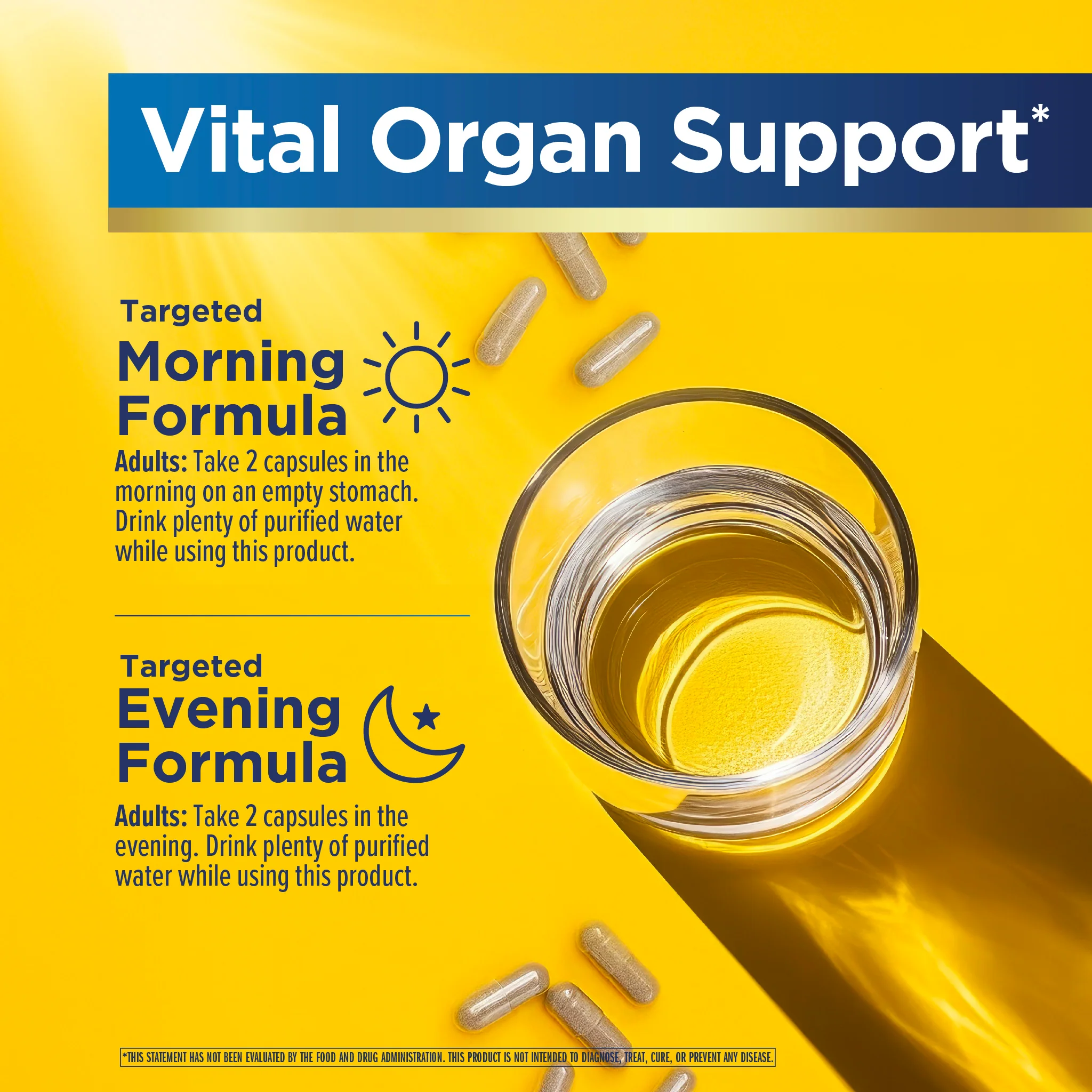 3 Day Liver Cleanse Vital Organ Support, 12 Vegetarian Capsules - Image 6