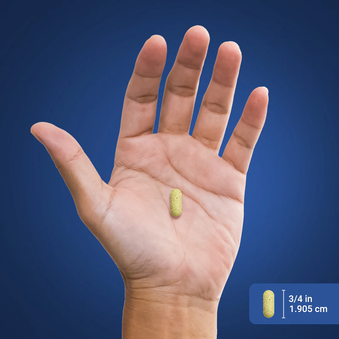 Advanced Triple Strength Glucosamine Chondroitin MSM Plus Turmeric, 180 Coated Caplets - Image 3