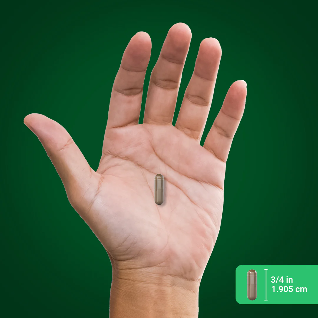 Damiana Leaves, 750 mg, 200 Quick Release Capsules - Image 3