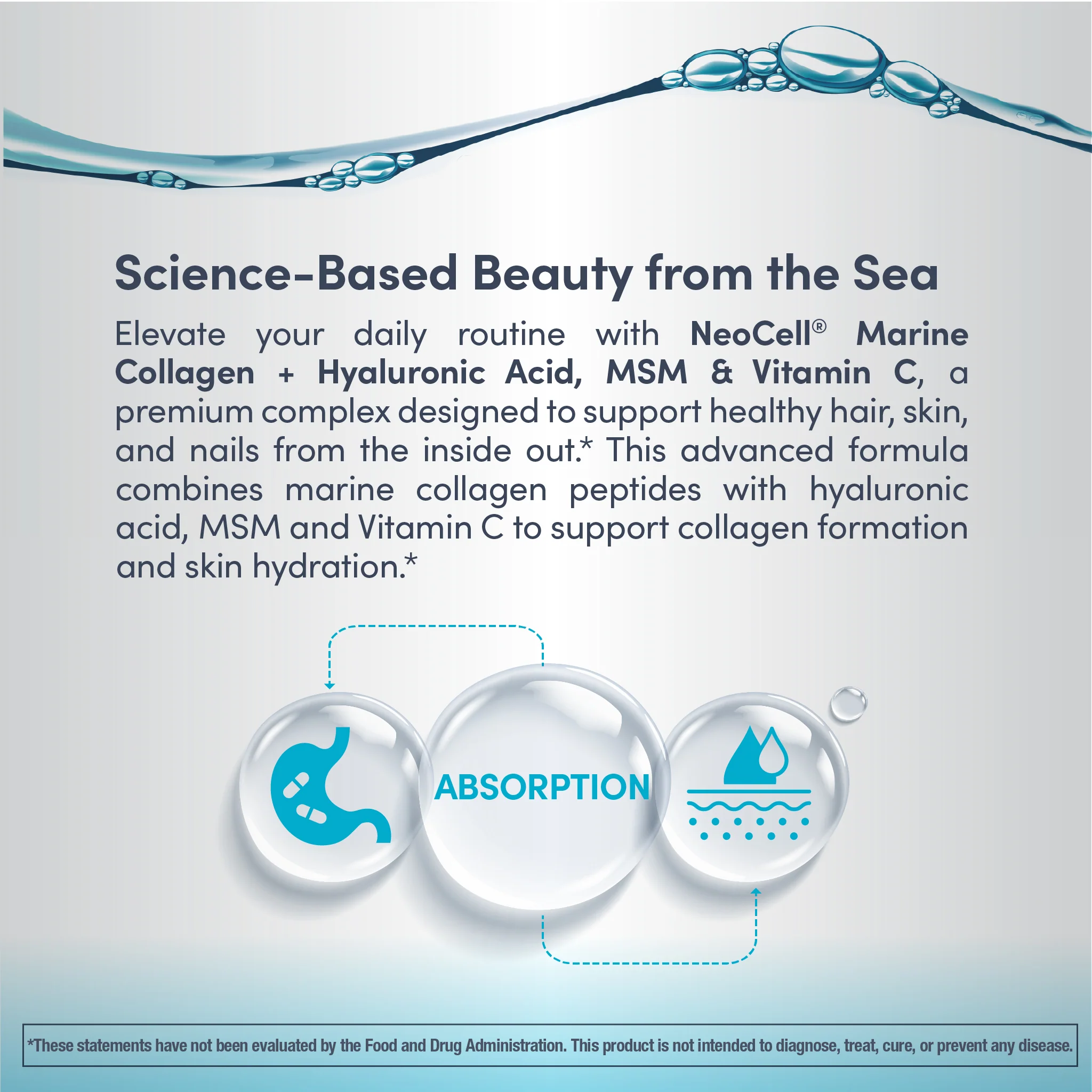 Marine Collagen Peptides + Hyaluronic Acid, MSM & C, 7 oz (200 g) Powder - Image 5