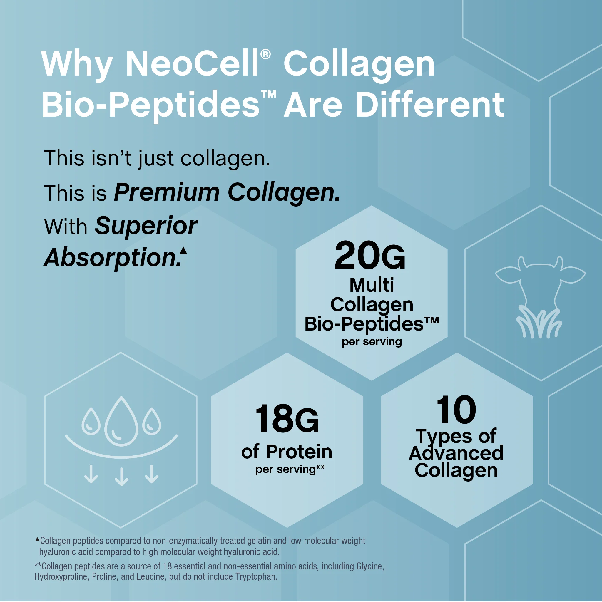 Multi Collagen Advanced Bio-Peptides, 22 oz (623 g) Powder - Image 10