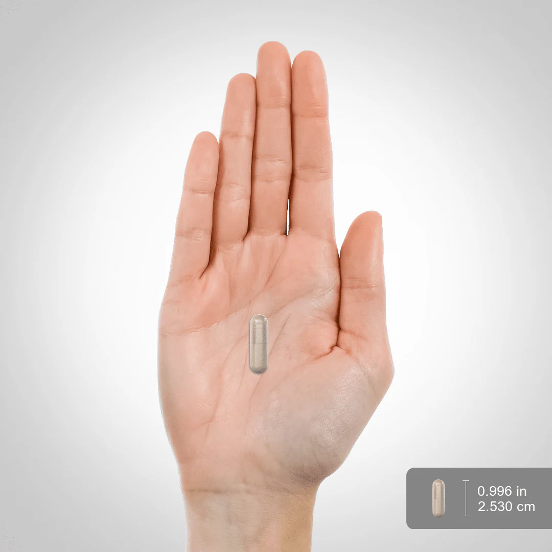 Tongkat Ali Longjack, 1200 mg (per serving), 120 Quick Release Capsules - Image 3