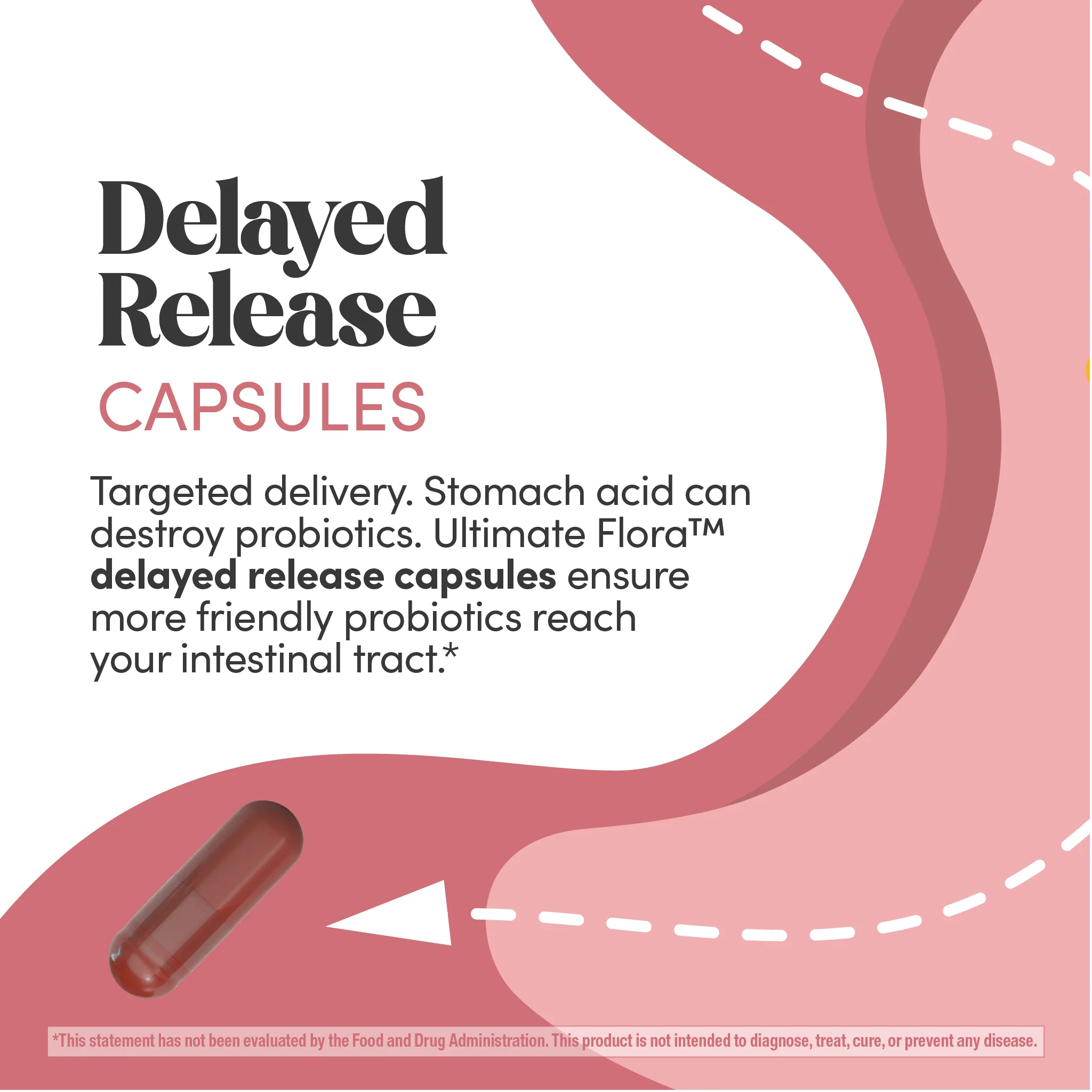Ultimate Flora Vaginal Probiotic, 60 Delayed Release Capsules - Image 6